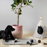 Felted Wool Pet Tipi