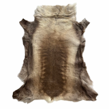 Tanned Reindeer Hide #008