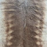 Premium Tanned Reindeer Hide - Unnumbered