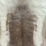 Tanned Reindeer Hide #009