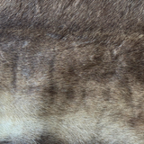 Tanned Reindeer Hide #012