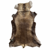 Tanned Reindeer Hide #013