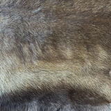 Premium Tanned Reindeer Hide #013