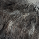 Icelandic Sheepskin #018