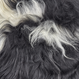 Icelandic Sheepskin #022