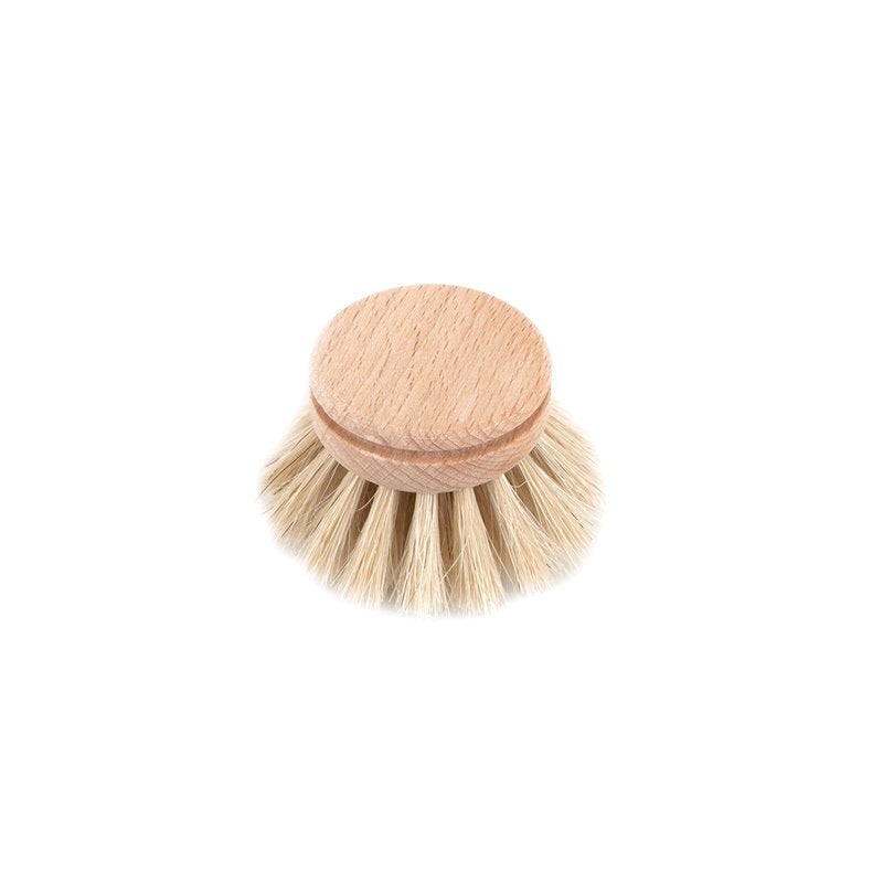 Small Dish Brush Replacement Head - Horse Hair